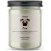 Chug Candle- 220g Soy Wax with Madagascan Vanilla Jasmine & Sugared Almond - Makester Dog Candle Gift - Buy Online on GoSupps.com