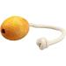 Wolters Natural Rubber Ostrich Egg - Mango Color Size M 80x60mm with Rope - Durable & Eco-Friendly - Buy Online on GoSupps.com