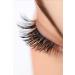 Soul Lifestyle Soul Beauty Eyelash and Eyebrow Growth Serum 5ml - Buy Online on GoSupps.com