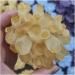 Crystal Rough 1pcs300-700g Big Size Natural Citrine Quartz Geode Druzy Topaz Crystal Cluster Specimen Home Decoration DIY Crafts Feng (Size : 400-500g) - Buy Online on GoSupps.com