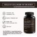 Hydrolyzed Collagen Peptide Supplement Tablets with Vitamine C for Men and Women - 100 Collagen Capsules - Joint pain supplement - Helps maintenance of bones and cartilage - Buy Online on GoSupps.com