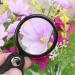 5X 40mm Portable Mini Magnifier Foldable Reading Jewelry Magnifying Glass Loupe - Buy Online on GoSupps.com