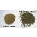 MagJo Naturals Farm Direct Catnip - Freshest Full Pound Bulk Bag - Buy Online on GoSupps.com