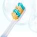 Zumaha Ultra-Like Compact Toothbrush Set - 10 000 Bristles for Adults Pregnancy & Juniors - Ergonomic Design Pack of 4 - International Shipping Available - Buy Online on GoSupps.com