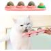 Starroad-Tim catnint Wallball Catsmint toys for cats teeth clean eating.