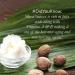 APOTHECARY HOME Lychee Amber Liquid Hand Soap Refill - 67 fl. oz. | Luxurious Freshness & Irresistible Scent - Shop Internationally - Buy Online on GoSupps.com