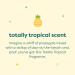 Babyganics SPF 50 Kids Mineral Sunscreen Continuous Spray 2 Pack (6 oz) - Totally Tropical | UVA UVB Protection | Water Resistant | Oxybenzone & Octinoxate Free - Buy Online on GoSupps.com