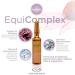 AM ARMESSO | EquiComplex | 10 x 2ml Ampoules | Skin Synergistic (Enhancer-Repairer) | Cosmetic Serum - Buy Online on GoSupps.com