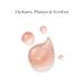ELEMIS Pro-Collagen Rose Micro Serum | Ultimate Hydration for Plump Youthful Skin - Reduce Fine Lines & Wrinkles - International Shipping Available - Buy Online on GoSupps.com