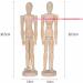 Alikeke 2 Pack 12 Wooden Mannequin Artist Manikin with Stand - Ideal for Drawing & Decor (Men/Women Dad/Mom) - Buy Online on GoSupps.com