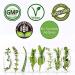 Rejuvenation Therapeutics Calcium Citrate 90 Vegan Capsules - Essential Bone Health Support - Buy Online on GoSupps.com
