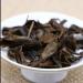 HELLOYOUNG 100g Th blanc Fuding biologique chinois en brique Th Pu'er Aliment vert avec une saveur pure et intense doux et frais Th pu-erh Pu'er Tea - Buy Online on GoSupps.com