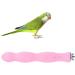 POPETPOP 20CM Bird Perch Parrot Stand Parakeet Natural Wood Rough Sand Perches Grinding Nail for Small Medium Large Birds African Grey Cockatoo Parakeet (Random Color) - Buy Online on GoSupps.com
