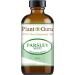 100% Pure Parsley Seed Essential Oil 4 oz - Therapeutic Grade Undiluted | International Shipping Available - Buy Online on GoSupps.com