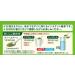 Green Tea Oi Ocha Sarasara Japanese Instant green tea with matcha 1.41oz 2 Itoen With MAIKO sticker Pio big bazar - Buy Online on GoSupps.com