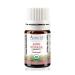 Organic Ammi Visnaga Essential Oil 100% Pure and Undiluted Premium Quality Aromathearpy Oil Tested and Verified Size: 3mL (0.1 Fl. Oz.) Ammi Visnaga 0.1 Fl Oz (Pack of 1)