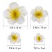 FRCOLOR 4Pcs Hawaiian Flower Hair Clip | Plumeria Hairpin for Kids & Women | Beach Foam Hair Accessories - Buy Online on GoSupps.com
