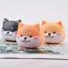 Dog Contact Lens Case Set - Portable Travel Kit with Mirror, Bottle, Tweezers, Stick Remover - 2 Pcs Animal Holder Storage Container - Buy Online on GoSupps.com