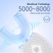 IVYARD Ultrasonic Automatic Toothbrush - 360 Electric Sonic Teeth Whitening Kit | Wireless Charging & Timer | Travel/Home - White - Buy Online on GoSupps.com
