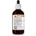 Green Tea (Camellia Sinensis) Dry Leaf Tincture, Made in Hawaii, All Natural, Vegan, Pure Liquid Extract - 4 fl.oz 4 Fl Oz (Pack of 1) - Buy Online on GoSupps.com