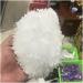 Natural Crystal Rough Natural Crystal Rough Natural White Crystal Cluster Original Stone degaussing Purification Shock Pendulum (Size : 400-500g) - Buy Online on GoSupps.com