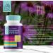 Buy Dakota 7 in 1 Immune Defense - 60 Capsules - Pack of 2 for Optimal Health - Buy Online on GoSupps.com