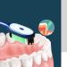 Zumaha Loose Professional Care Toothbrush - Medium-Hard Bristles Easy Grip 10-Pack for Superior Cleaning | International Shipping Available - Buy Online on GoSupps.com