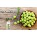 Sewanti Organic Amla Antioxidant & Cleansing Aid - 60 Vegan High Potency Extract Capsules (500mg) - Buy Online on GoSupps.com