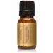 P&J Trading Churro Scented Oil 10ml | Premium Fragrance Oil for Candle Making Soap Making & Diffusers - International Shipping Available - Buy Online on GoSupps.com