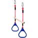 Lily's Things Trapeze Swing Bar with Gymnastic Rings - Ninja Warrior Accessories for Ninja Slackline Obstacle Course - Monkey Bars for Kids - Easy Attachment to Most Home Playground Equipment Sets
