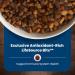 Blue Buffalo Life Protection Formula Large Breed Senior Chicken & Brown Rice 11.7kg Large Bag Large Breed Senior Chicken - Buy Online on GoSupps.com
