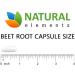 Beet Root Capsules 1200mg - 200 Powder Capsules for Blood Pressure & Athletic Performance - Non-GMO & Gluten Free - Buy Online on GoSupps.com
