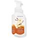Buy Bath & Body Works Fresh and Fruity Foaming Hand Soaps Set of 5 - Black Cherry Japanese Blossom Peach Bellini & More | International Shipping Available - Buy Online on GoSupps.com