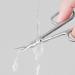 TingDongWei Nail Scissors Stainless Steel Cuticle Scissors Curved Cuticle Scissors Multi-Purpose Beauty Scissors for Trimming Eyebrows Nose Hair Beard Finger Toe Nail Care - Buy Online on GoSupps.com
