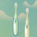 SECFOU Cleaning Tool 4pcs Baby Training Handheld Infant Assorted Cleaning Teeth Oral Soft Brush Toothbrushes Color Tool Children Kids Childrens Plastic for Care Dental Toddler Toothbrush Kids Tools - Buy Online on GoSupps.com