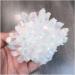Natural Crystals Quartz Freeform Reiki Stones Room Home Office Aquarium Decoration Accessories Gemstone Beautiful (Size : 400-450g) HOMEZHOU (Size : 500-550g) - Buy Online on GoSupps.com