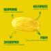 Vivil Lemon Balm Multivitamin Candy - Sugar-Free Vegan 8 Vitamins 5 Bags (5 x 120g) | Delicious Lemon Flavor | International Shipping Available - Buy Online on GoSupps.com