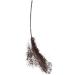 Maybelline Satin Brow Pencil - Dark Brown 9g | Long-Lasting Definition & Shape - Buy Online on GoSupps.com