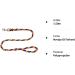 Dogeline Jumbo Dog Leash for Large Breeds - 1.50m Training Line up to 80kg | 17 Colors Available | Durable Hand Loop - Buy Online on GoSupps.com
