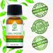 Teliaoils Herbal Blend for Teeth & Gums - Extreme Strength Oral Hygiene Oil - 100% Natural Mouthwash, Toothpaste, Breath Freshener - Fluoride Free - 10ml - Buy Online on GoSupps.com