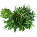 Fresh Vallarai Leaves and Ponnaganni Leaves Bunch | Combo Bunch |Healthy | Perfect Cooking for Vegans and Vegetarian etc.. | Approx 350 to 400G| Next Day Shipping By Seelans - Buy Online on GoSupps.com