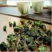 100g (0.22LB) Ta wan hautes montagnes Jin Xuan Oolong th Tiguanyin vert th Oolong th vert - Buy Online on GoSupps.com