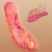 Warm Insole Soft Comfortable Shoe Pads for Men & Women - Breathable Skin-Friendly Sole (Small Size - Buy Online on GoSupps.com