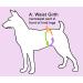 Glenndarcy Female Dog Diapers - Waterproof Rainbow Pants XS | Best for Small Dogs - Buy Online on GoSupps.com