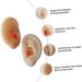 Ciieeo Silicone Ear Picking Tunnels - Teaching & Practice Tool for Realistic Ear Simulation - Buy Online on GoSupps.com