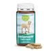New Zealand Green Lipped Mussel Capsules for Dogs