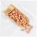 Ciieeo 1 Decorative Nut Model Simulation Fake Fruit Faux Groundnut Kernels Food Decor Simulation Nut Prop Fake Groundnut Kernels Toys Japanese Grill Yakitori Peanut Soy Pvc - Buy Online on GoSupps.com