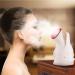 Pulv risateur Vapeur Visage-Nano Pulv risateur De Chauffage La Vapeur Visage Machine La Vapeur La Maison Instrument De Beaut  - Buy Online on GoSupps.com