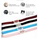 AIXI Cat Collar with Safety Belt and Bell - Heart Bling Design - 8-11 Inches - Black - Buy Online on GoSupps.com