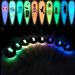 Glow in The Dark Acrylic Powder &Dipping Powder 12 Luminous Polymer Powder 12pcs Glow in The Dark Pigment Powder Acrylic 10g/jar - (Color: 12colors) - Buy Online on GoSupps.com